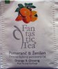 Biogena P Fantastic Tea 3 Pomeranč a Ženšen - matný
