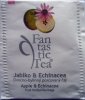 Biogena P Fantastic Tea 3 Jablko a Echinacea - matný