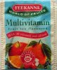 Teekanne Multivitamin with 10 vitamines and calcium - b