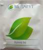 Megafyt F Bylinn aj Light Digestion Tea - a