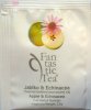Biogena F Fantastic Tea 4 Jablko a Echinacea - b