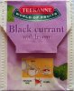 Teekanne Black Currant with lemon - a