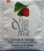 Biogena P Fantastic Tea 3 Jahoda a Ginkgo - a