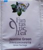 Biogena P Fantastic Tea 3 Jasmine Green - lesklý