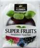 Klember Super Fruits Mangosteen Forest Fruist - a