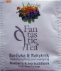 Biogena P Fantastic Tea 3 Borůvka a rakytník - lesklý