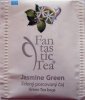 Biogena P Fantastic Tea 3 Jasmine Green - matný